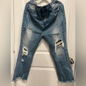 Risen Plus Size Jeans - Size 3XL